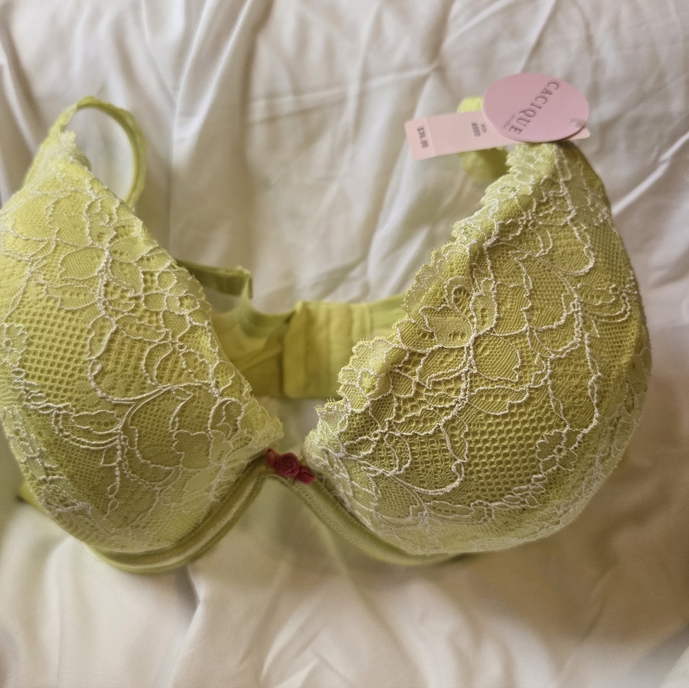 CACIQUE BEAUTIFUL  Bra Lace 40DD